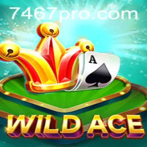 Dive Into WildAce: A New Frontier in Gaming
